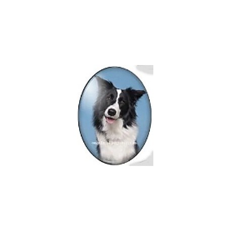 cabochon 30x40mm honden foto's