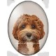 cabochon 30x40mm honden foto's