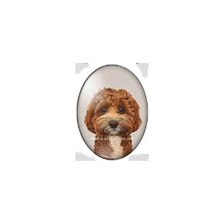 cabochon 30x40mm honden foto's