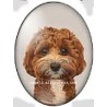 cabochon 30x40mm honden foto's