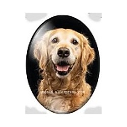 cabochon 30x40mm honden foto's