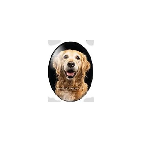 cabochon 30x40mm honden foto's