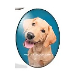 cabochon 30x40mm honden foto's