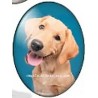 cabochon 30x40mm honden foto's