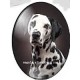 cabochon 30x40mm honden foto's