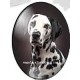 cabochon 30x40mm honden foto's