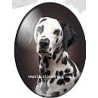 cabochon 30x40mm honden foto's