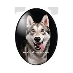 cabochon 30x40mm honden foto's