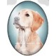 cabochon 30x40mm honden foto's