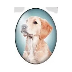 cabochon 30x40mm honden foto's