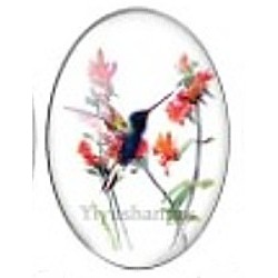 Cabochon 18x25mm vogels