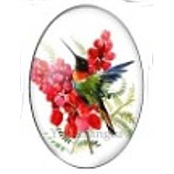 Cabochon 18x25mm vogels