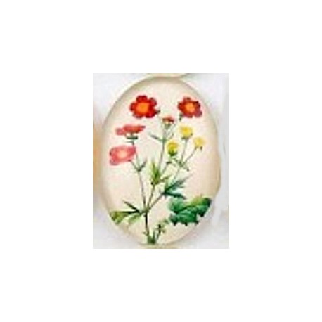 Cabochon 18x25mm bloemen