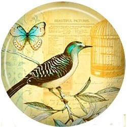 Cabochon 25mm rond vogels