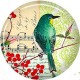 Cabochon 25mm rond vogels