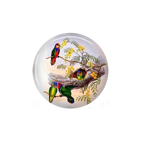 Cabochon 25mm rond vogels