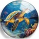 Cabochon 25mm zeedieren.