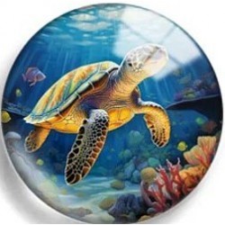 Cabochon 25mm zeedieren.