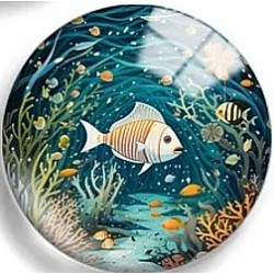 Cabochon 25mm zeedieren.