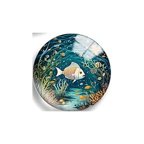 Cabochon 25mm zeedieren.