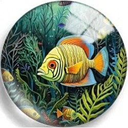 Cabochon 25mm zeedieren.