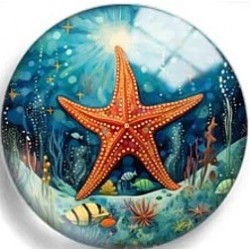 Cabochon 25mm zeedieren.