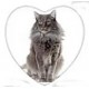 Cabochon 25mm hartvorm katten foto
