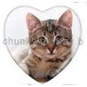 Cabochon 25mm hartvorm katten foto