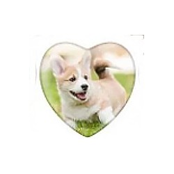 Cabochon 25mm hartvorm honden foto