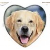 Cabochon 25mm hartvorm honden foto