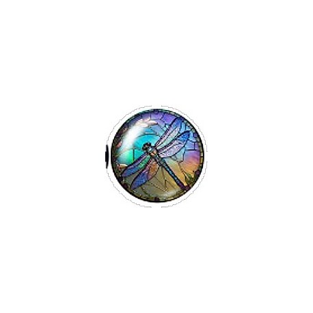 Cabochon 20mm rond vlinders en vogels