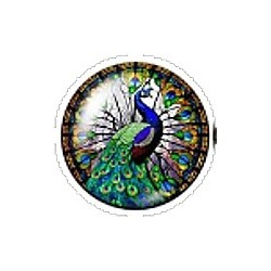 Cabochon 20mm rond vlinders en vogels