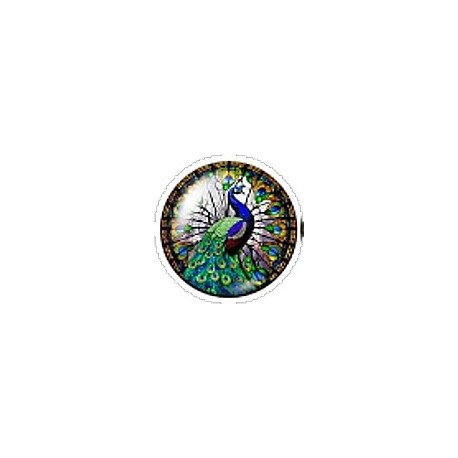 Cabochon 20mm rond vlinders en vogels