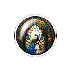 Cabochon 20mm rond vlinders en vogels