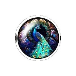 Cabochon 20mm rond vlinders en vogels