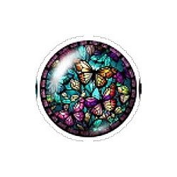 Cabochon 20mm rond vlinders