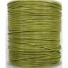 Leerveter 1mm grasgroen metallic per 100m