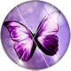 Cabochon 20mm rond vlinders
