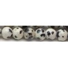 Edelsteen 4mm Dalmatier Jasper 60st.