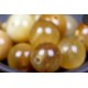 Edelsteen 6mm Tijgeroog Gold ca 60st..