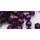 Facetkraal 4mm bicone zwart paarsAB 50st.