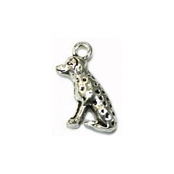 Bedel hond dalmatier 2st