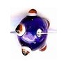Glaskraal schijf 8x15mm blauw 5st
