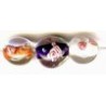 Glaskraal ovaal 12mm mix 5st