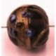 glaskraal rond12mm bewerkt amethyst p.st