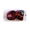 Glaskraal 10mm fantasie transp/rood 10st.