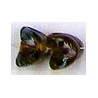 Glaskraal 12mm fantasie transp/bruin 5st.