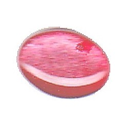 glascabochon18x13mm bordaeuxrood 5 stuks